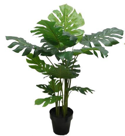 PLANTA DECORATIVA MONSTERA GRANDE