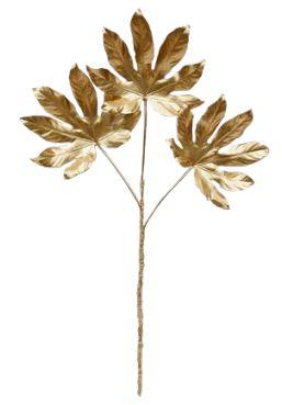 FOLLAJE FATSIA
