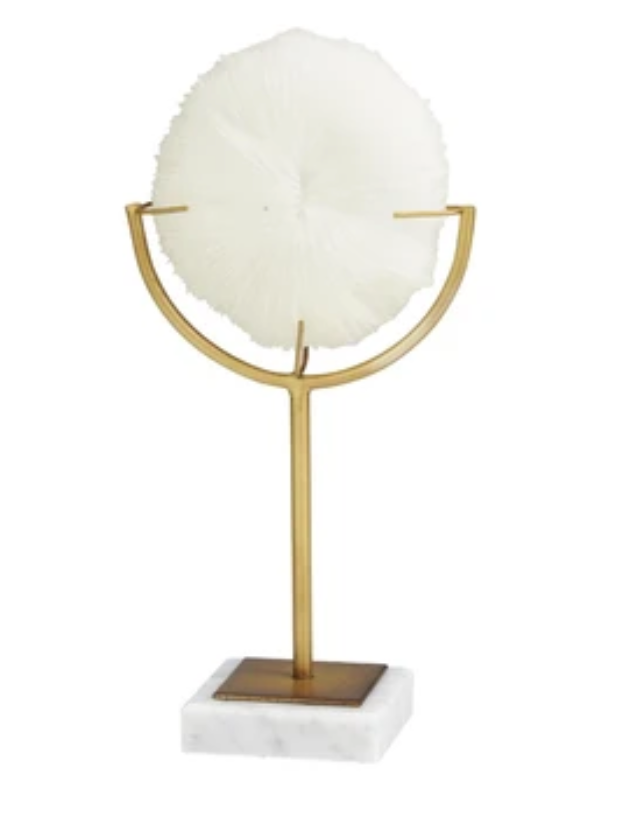 ESCULTURA CORAL PLANO
