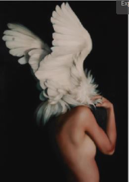 MUJER ALAS 12