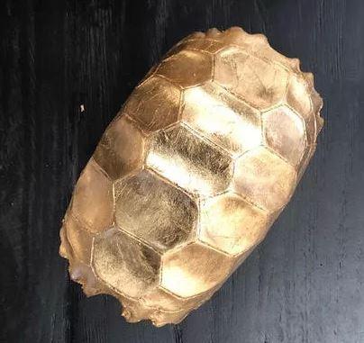 CAPARAZON TORTUGA HOJA DE ORO