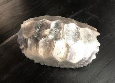 CAPARAZON TORTUGA HOJA DE PLATA