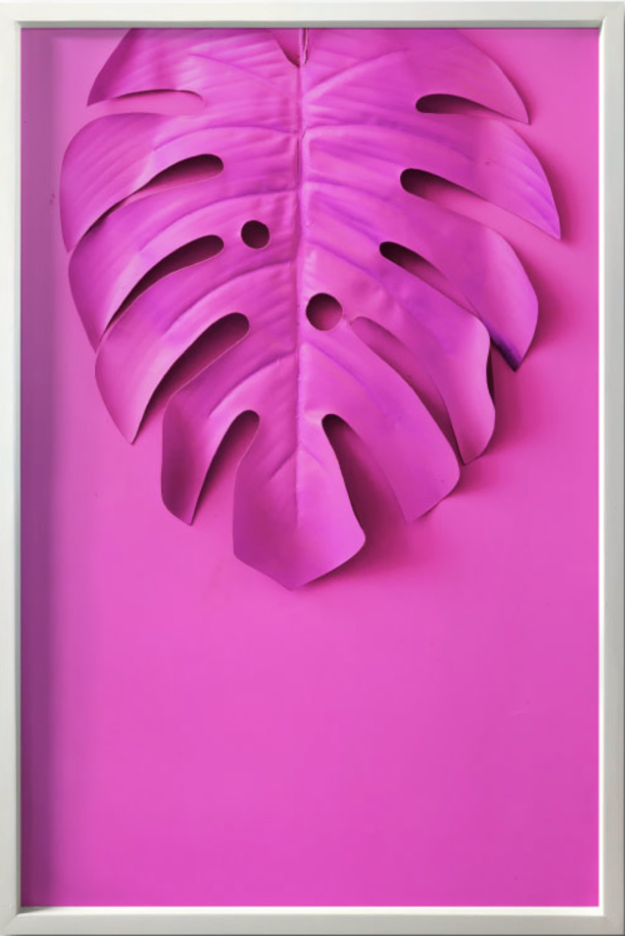 Pink palm