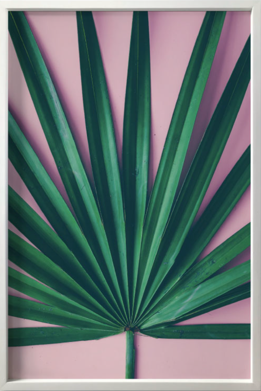 PALM