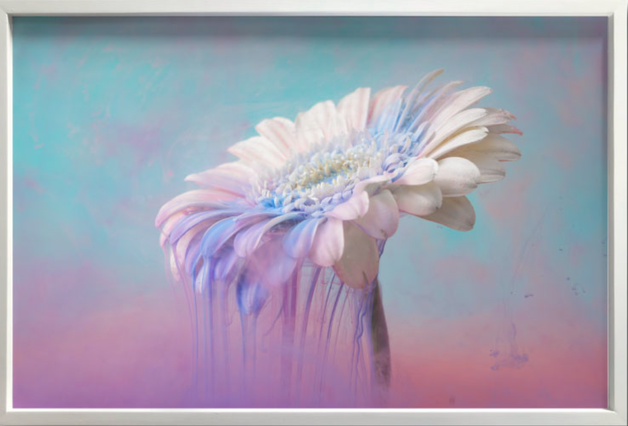 COLORFUL FLOWER