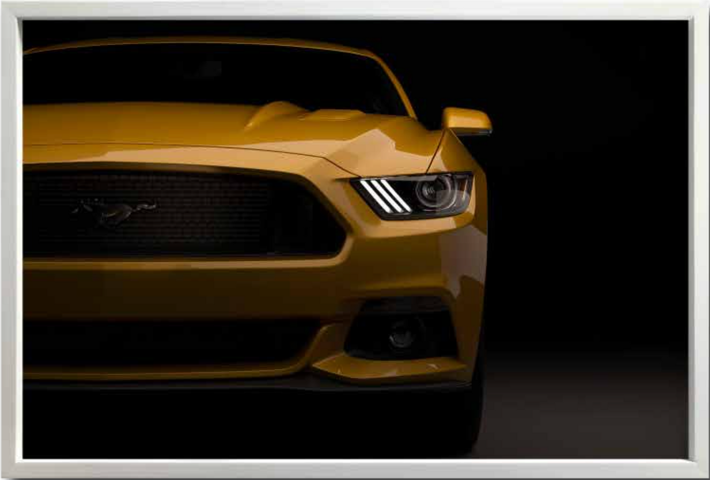 MUSTANG 001