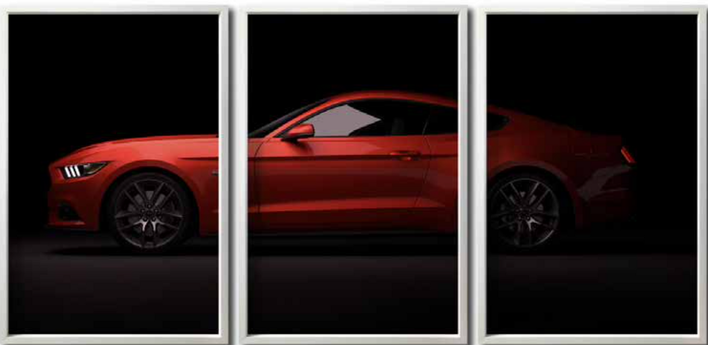 MUSTANG 006