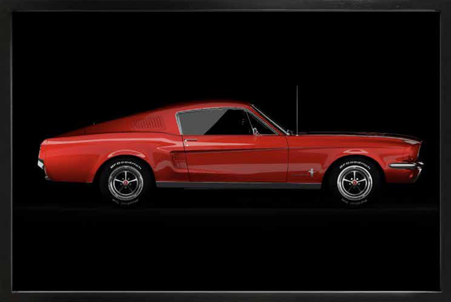 MUSTANG 010