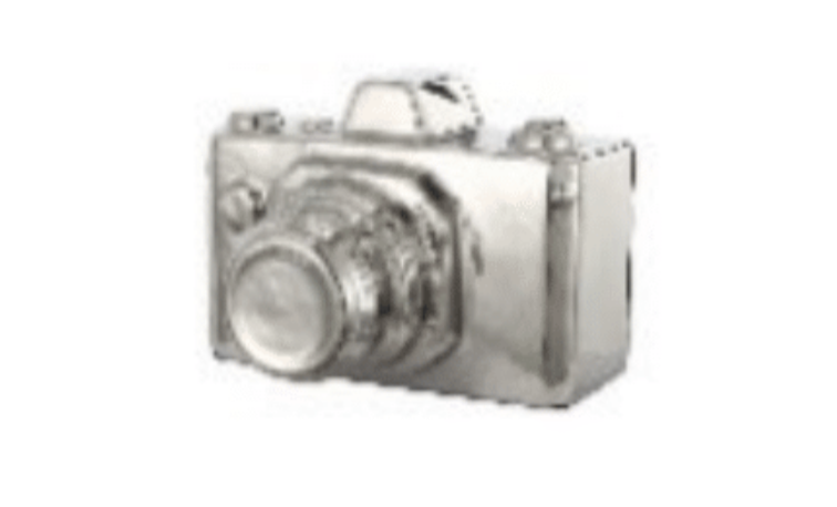 CAMARA DECORATIVA PLATINO