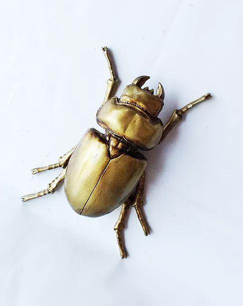 ESCARABAJO ORO GREG