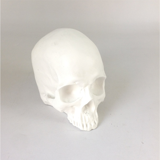 CALAVERA BLANCA