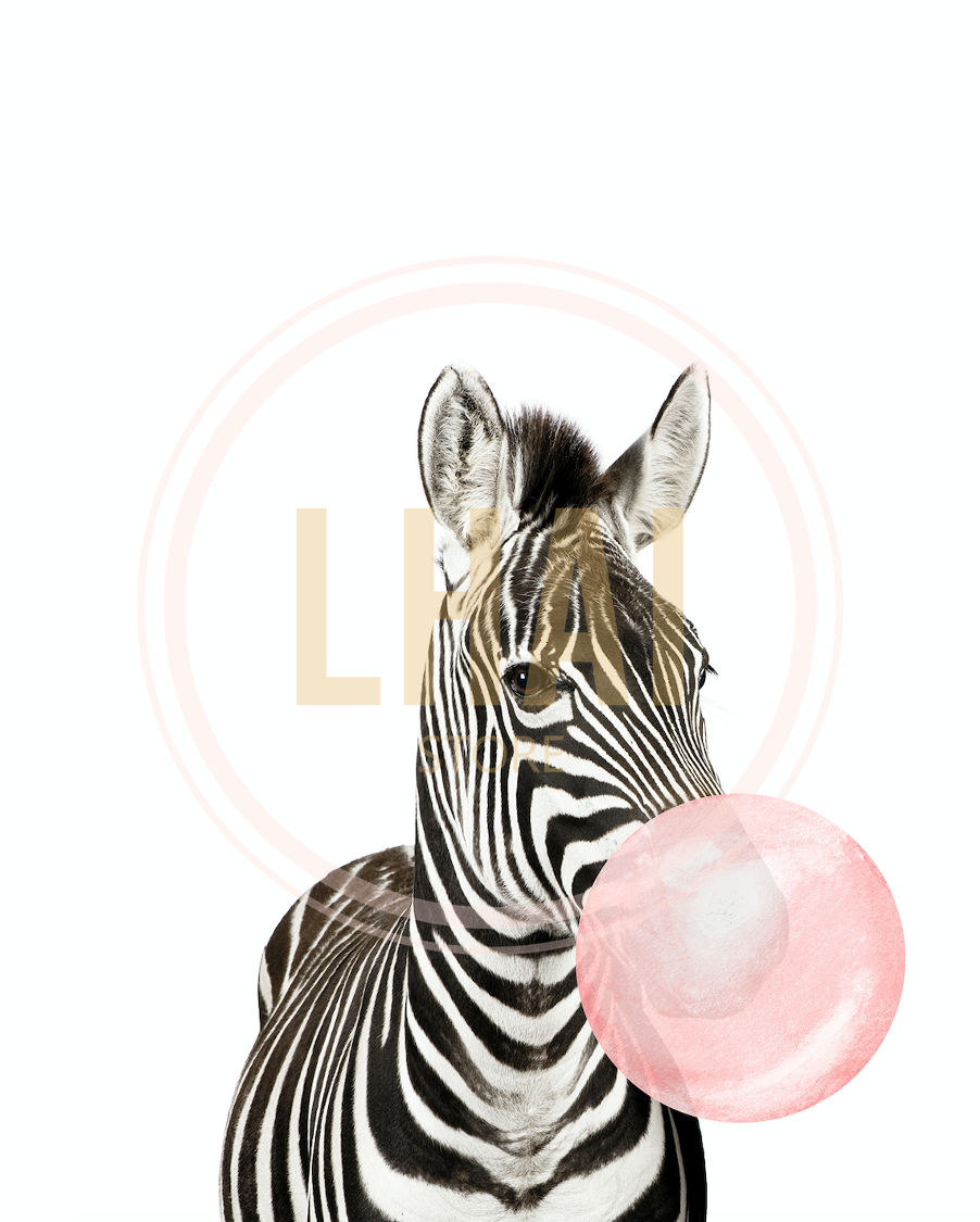 ZEBRA BUBBLE GUM